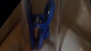 Tortured tits