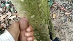 jungal fuck step brother