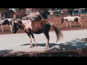 HOLIDAY VLOG Caffé SKTER10 JOURNEY (EPISODE 1) 5/16