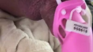 Sissy Shemale tranny slut athletic hot babe in her cute pink little chastity cage 