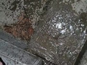 Quick Pee Outside  - Screenshot 10 of 16 - Peeing