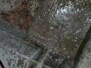 Quick Pee Outside  - Screenshot 11 of 16 - HD