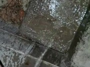 Quick Pee Outside  - Screenshot 13 of 16 - Outside