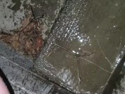 Quick Pee Outside  - Screenshot 15 of 16 - Peeing