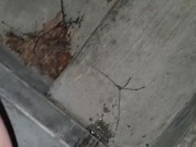 Quick Pee Outside  - Screenshot 4 of 16 - Pee