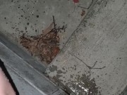 Quick Pee Outside  - Screenshot 5 of 16 - Peeing