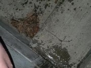 Quick Pee Outside  - Screenshot 6 of 16 - HD
