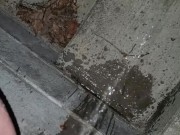 Quick Pee Outside  - Screenshot 7 of 16 - Wetting