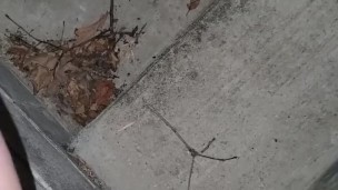 Quick Pee Outside 