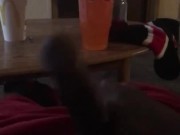Stroking black dick till nut