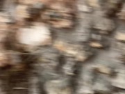 Baise dans les ruines 16/16