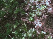 Публичный секс русских подростков часть 6 1/16