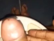 Pene erecto