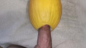 Big dick fucking Watermelon ( canari ) close up