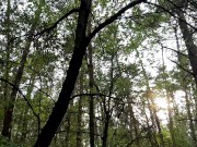 Вышла на прогулку в лес и увидела, как пара лесби трахается. Сняла их на скрытую камеру 7/16