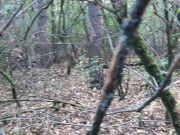 Вылизала ей киску на бревне, как она и просила, чтобы она кончила мне в рот, как я люблю 1/16