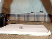 Butt Sharpie Drawing