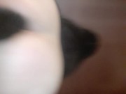ANAL PLUG - Screenshot 13 of 16 - Sex Toys