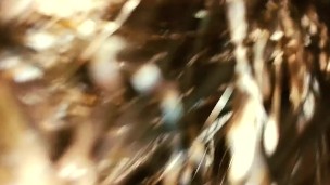 My cum-filled hotwife after party with used cummy pussy-rubs it on me and sucks