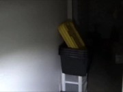 Overnight Guest - Ravenna Rane 13/16