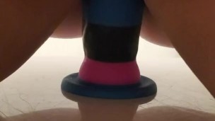 Cotton candy dildo 