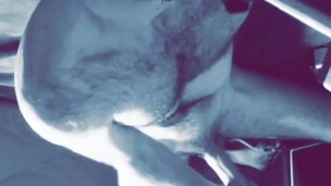 Sc Kyle Butler 'Fucking Machine Face Fucking' pt 1