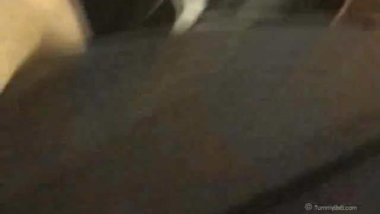 College Student in Loose Boxers Jerks Off With Fleshjack - Free Sex Video - RedTube