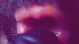 Sc Kyle Butler 'Tip Lick Flicks'