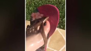@tici_feet IG ticii_feet tici feet wearing havaianas with oil (preview) full video for sale