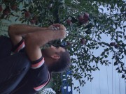 I pick an apple. 10/16