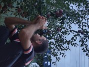 I pick an apple. 11/16