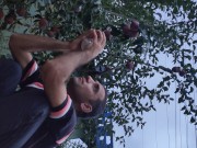 I pick an apple. 12/16