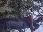 I pick an apple. 16/16