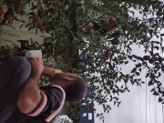 I pick an apple. 3/16