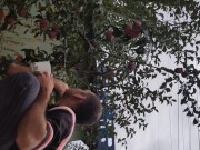 I pick an apple. 4/16