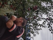 I pick an apple. 5/16