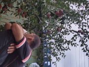 I pick an apple. 7/16