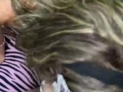 Pompino italiano  3/16