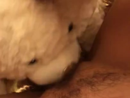TEDDY BEAR LICKS MY PUSSY TO ORGASM!