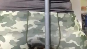 Humping and spanking on camouflage spandex leggings