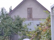 It seems that this year the watering hose will no longer be needed. 13/16