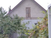 It seems that this year the watering hose will no longer be needed. 7/16