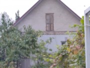 It seems that this year the watering hose will no longer be needed. 8/16