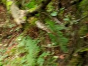 Extra Nerdy Piss In The Forest 8/16