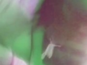 TripPY DizZy PisS 2/16