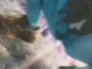 TripPY DizZy PisS 6/16