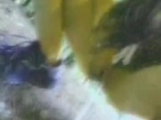 TripPY DizZy PisS 8/16