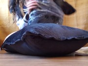 Nerdy Sailor Faery Humping your Pissy Black Velvet Pillows 9/16