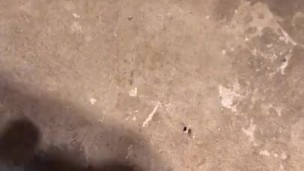 Cumming again