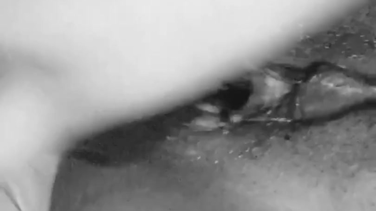 Fucking my tight pussy with a bottle  - Free Sex Video - RedTube